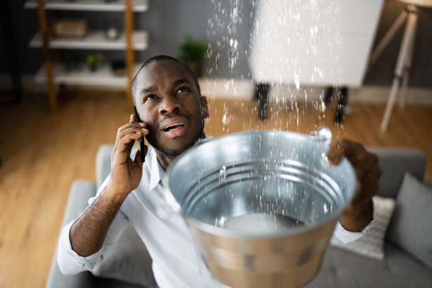 Best Ceiling water damage repair  in New Martinsville, WV