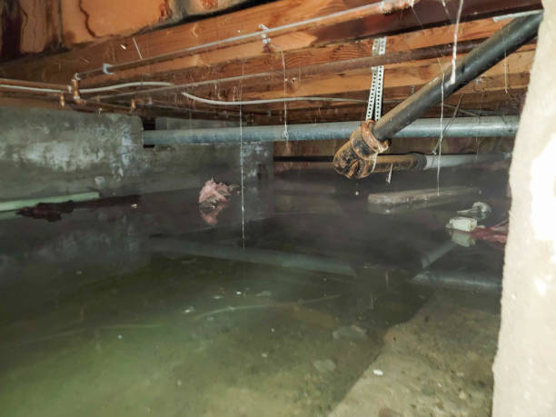 Best 24-hour water damage restoration  in New Martinsville, WV