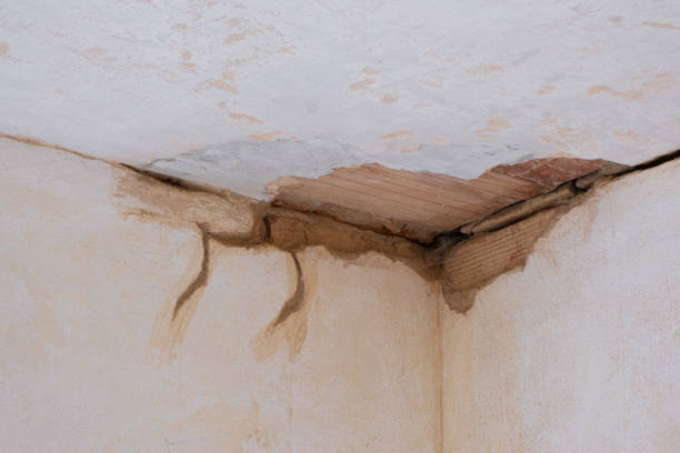 Best Local water damage restoration  in New Martinsville, WV