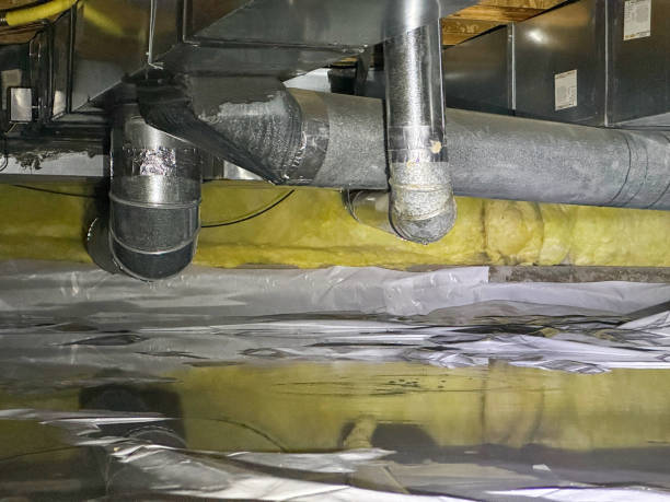 Best Flood restoration services  in New Martinsville, WV