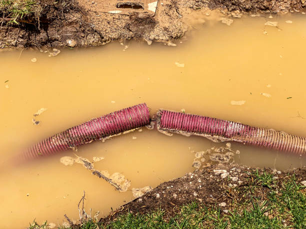 Best Emergency water damage restoration  in New Martinsville, WV
